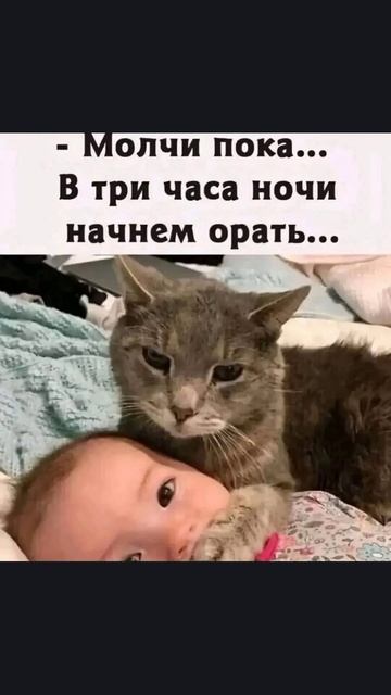 до сих пор смеюсь 😂😂😂😂😂🤣🤣🤣🤣🤣