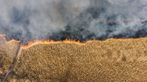 Природный пожар подобрался вплотную к парку из списка ЮНЕСКО в аргентинской Патагонии