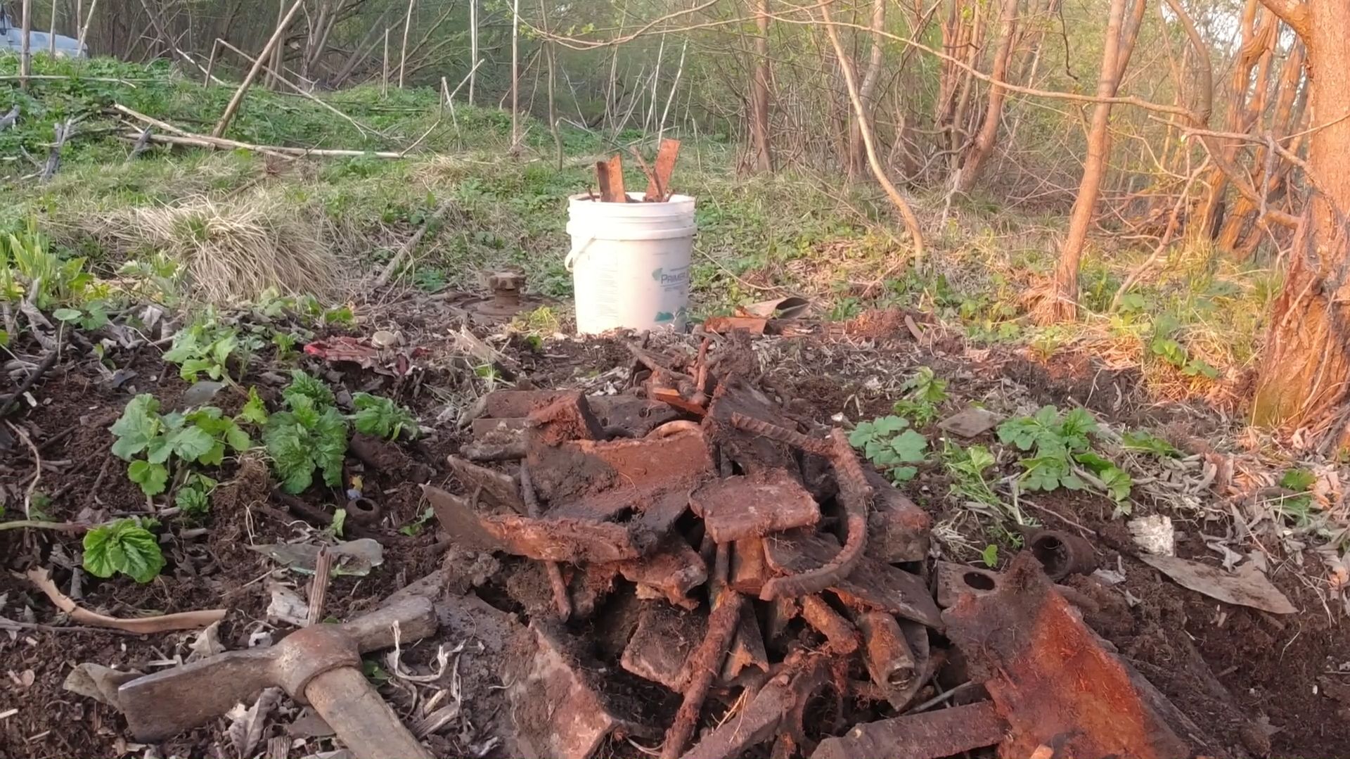 Занимаюсь фигнёй.Чищу природу. смотреть онлайн