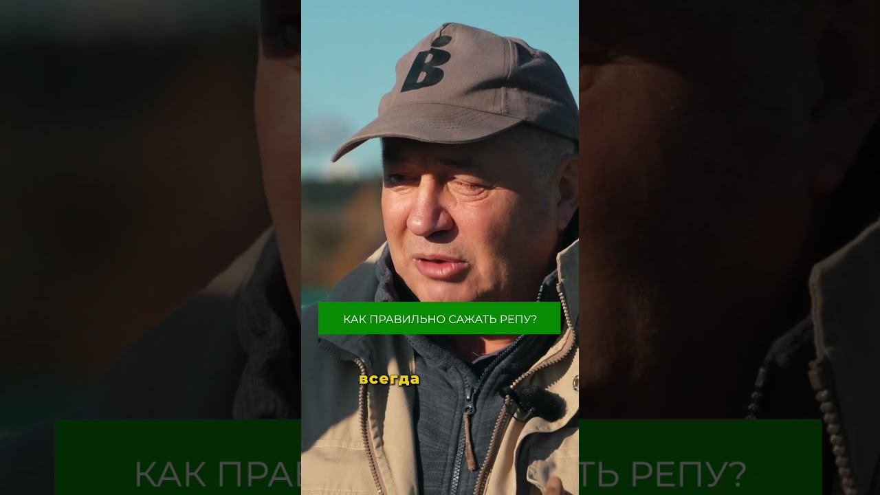 Как выращивать репу? Подробно рассказали в полном выпуске на канале #репа #овощеводство #огород смотреть онлайн