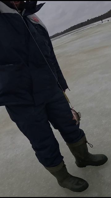 Блесна больше окуня) Рыбалка на озере! смотреть онлайн