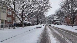 Чикаго сильная метель в Хайд-парке ❄️ Прогулка по заснеженному городу январь 2026 🚶♂️🌨️