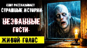 Ужас перед сном | Страшные истории на ночь