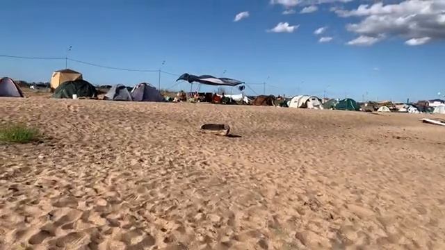 Конец СЕЗОНА Крым Феодосия Второй Городской пляж Приморский Пляж Золотой песок Вся Правдивость