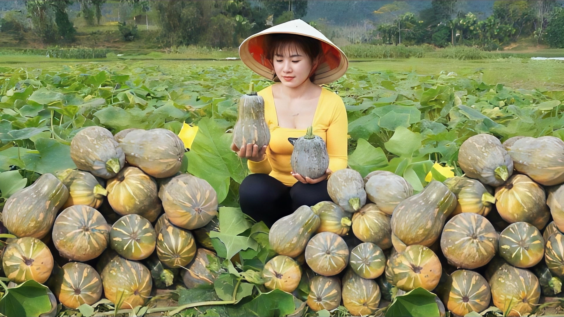 Собираю тыкву и отправляюсь на рынок продавать.Измельчаю кукурузу, чтобы накормить рыб и цыплят.Нхат смотреть онлайн