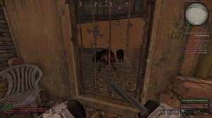 Прохожу квест на абакан Зрячего в STALCRAFT X