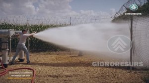 Петровский