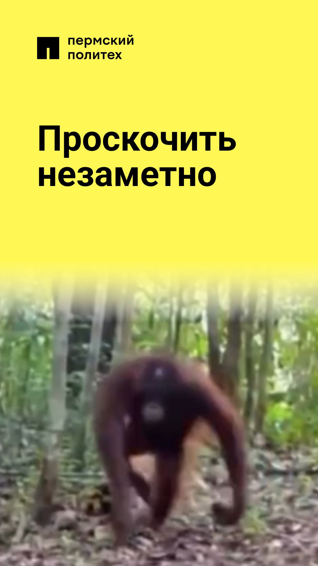 Опаздывать нужно тоже уметь