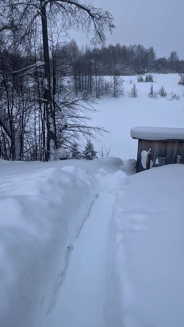 Окопы из снега Окопы из снега