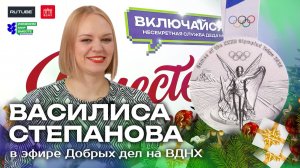 Василиса Степанова. Несекретная служба Деда Мороза.