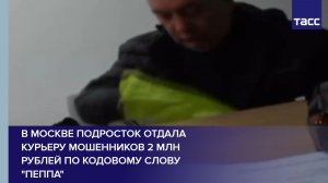 В Москве подросток отдала курьеру мошенников 2 млн рублей по кодовому слову "Пеппа"