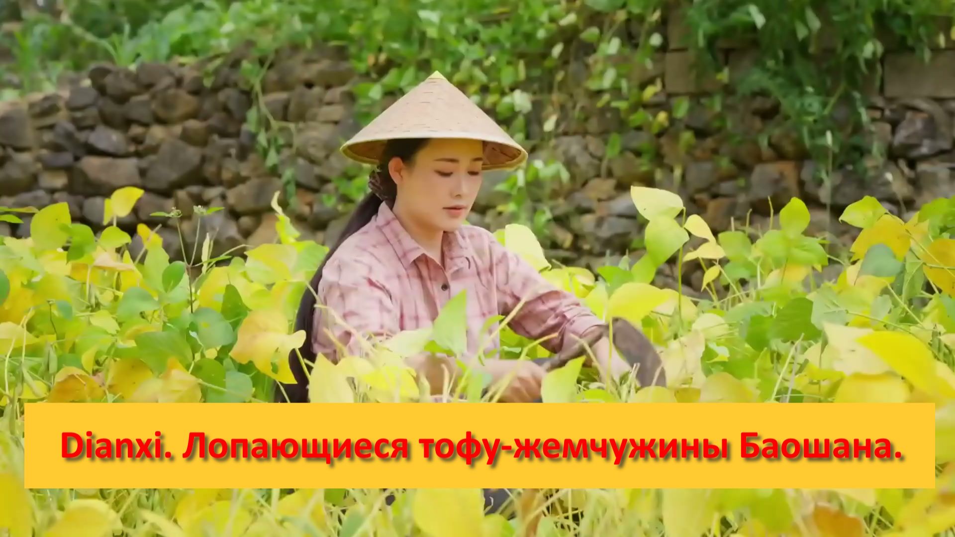 Dianxi Xiaoge. Китай. Лопающиеся тофу-жемчужины Баошана. смотреть онлайн