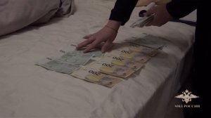 Ирина Волк: В Ленобласти полицейские задержали подозреваемых в серии хищений недвижимости у граждан