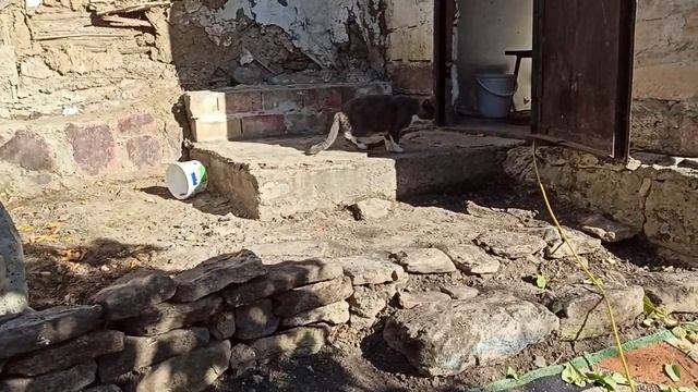 30,31 октября 2023г.Мой дом .Дни уборки и раскопок) смотреть онлайн