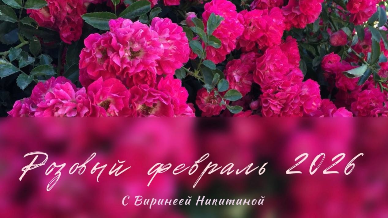 Марафон «Розовый февраль-2026» смотреть онлайн