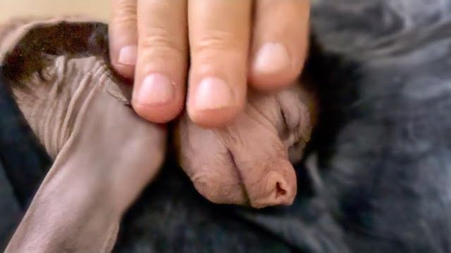 Когда Степашка впадает в ГЛУБОКИЙ СОН с ним можно делать что хочешь)))