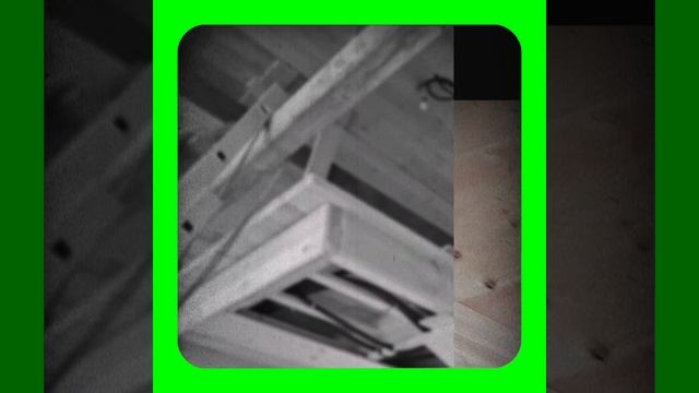 1000047621.mp4 (Собака наблюдает за устройством лестницы на 2 этаж в доме А-фрейм) 1000047621.mp4 (Собака наблюдает за устройством лестницы на 2 этаж в доме А-фрейм)