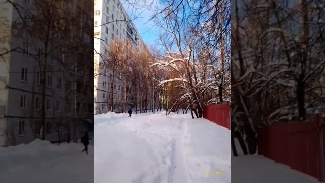 Moscow, Chertanovo Yuzhnoye district 31.01.2026