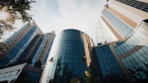 Работать языком-особый дар или кого забыл сизокрылый голубь в Ростовщине...