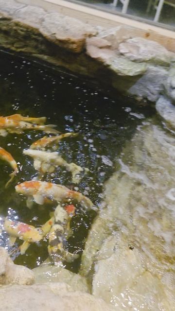 Royal Rattanakosin Hotel, 4* 2