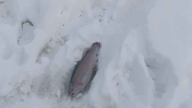 5763.mp4 смотреть онлайн