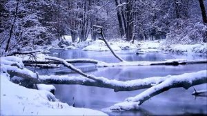 3 Февраля - Один день, который меняет все.