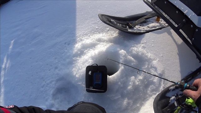 ХОТЕЛ ПОЛОВИТЬ ПЛОТВУ / А ПРИШЛОСЬ СУДАКА / Обское водохранилище / СУДАК НА ВИБ смотреть онлайн