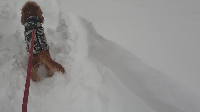 Последствия снежной бури метели в Казани. Руслан Михайлов смотреть онлайн