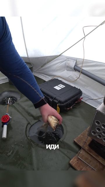 ВОТ ЭТО РЫБАЛКА! #shorts #рыбалка #fishing #рыба #fish #эдвардкосичка #природа #nature #отдых #rest смотреть онлайн