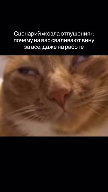 Как избавиться от роли жертвы и освободить свои границы ✨