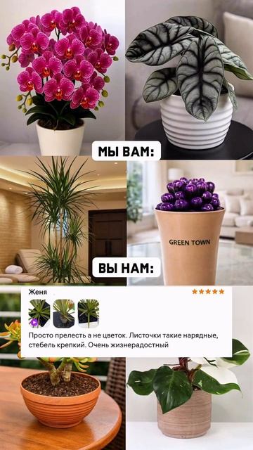 Спасибо за то, что выбираете нас! 💌