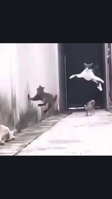 работает спецназ! 😁