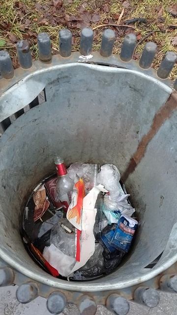 №1117 Комсомольский проспект. 25 ноября 2025 г., 14:40:43 VID_20251125_144033159