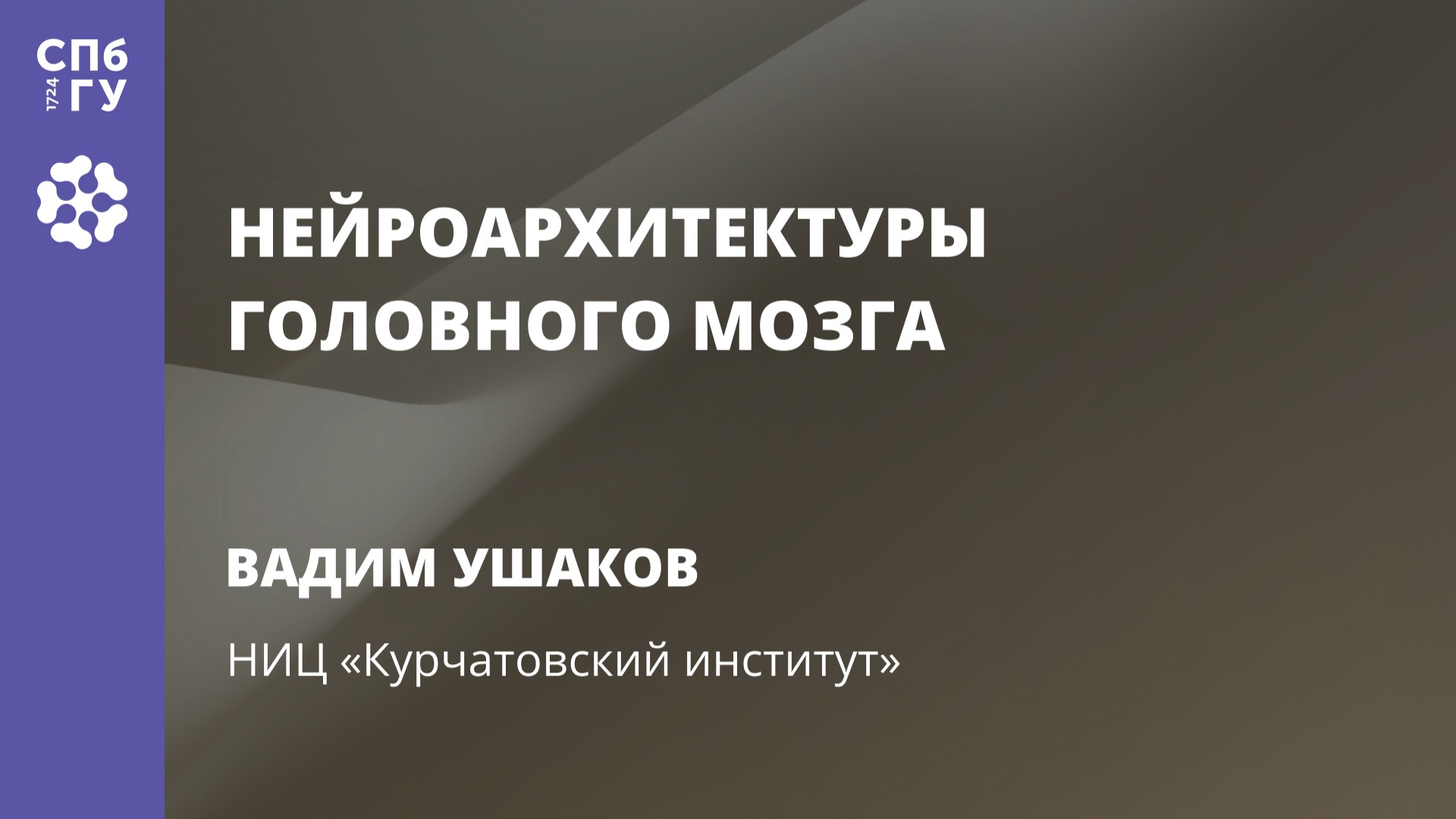 Вадим Ушаков «Нейроархитектуры головного мозга» смотреть онлайн