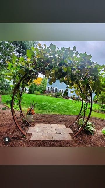 Идеи для сада🥰 смотреть онлайн