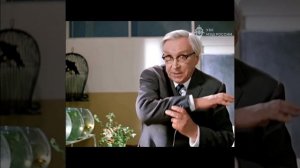 Уголовная ответственность за дропперство