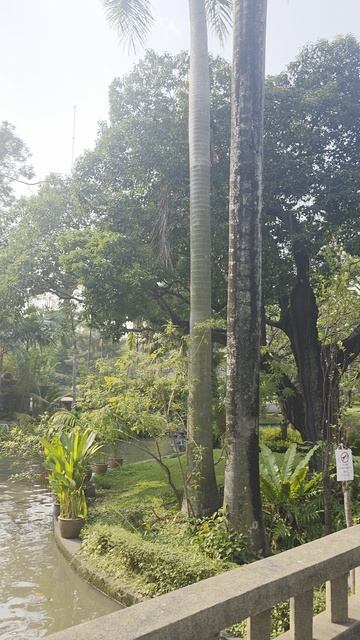 Бангкок 2 день 4