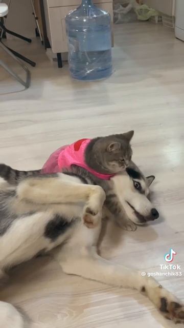 любовь❤️🔥💕👍