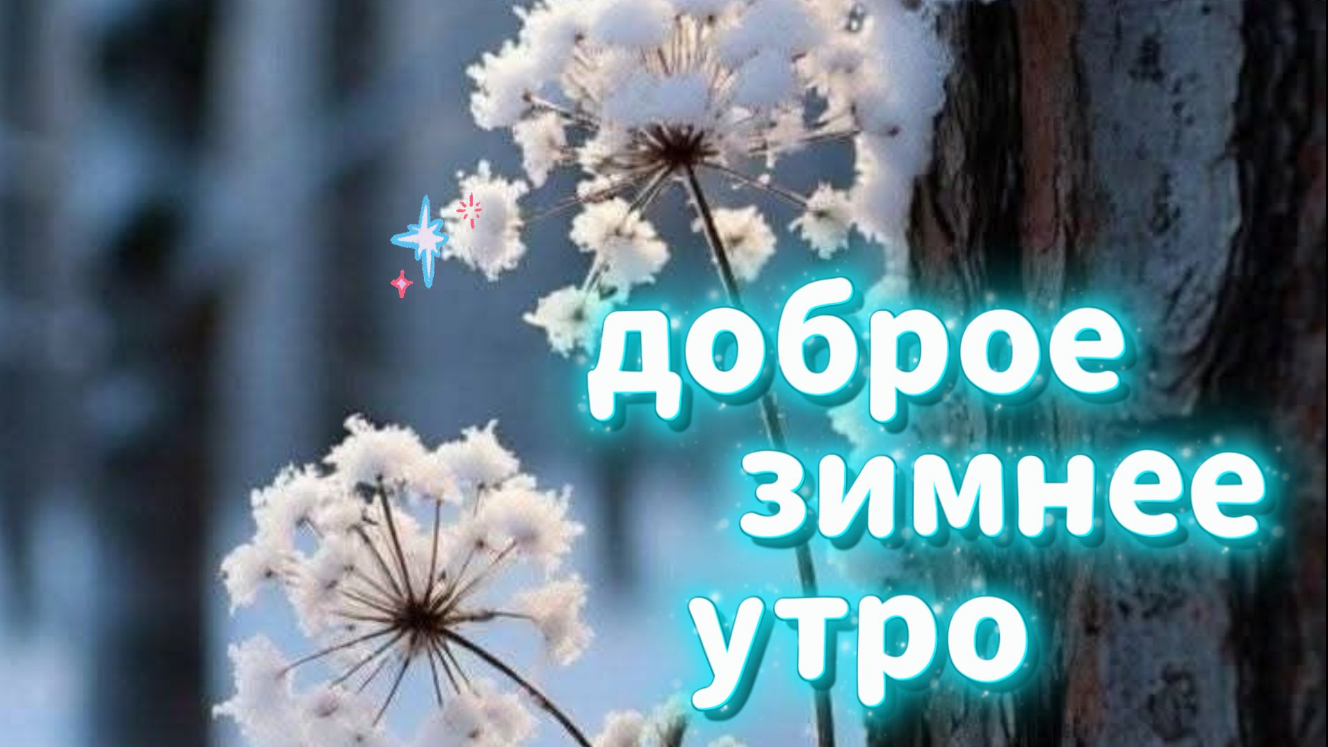 доброе зимнее утро видеооткрытки ☀️ смотреть онлайн