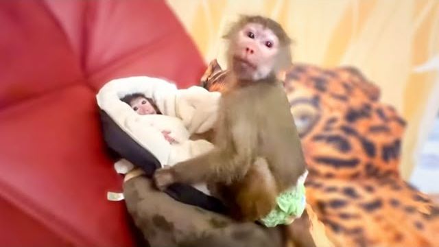 У Люси со Степкой распаковка! Интересно, променяет Люся Степку на ПОДАРКИ или нет У Люси со Степкой распаковка! Интересно, променяет Люся Степку на ПОДАРКИ или нет