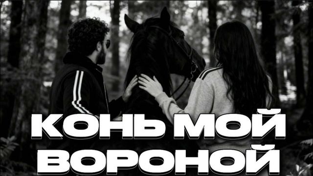 конь мой вороной ковер 2026 год