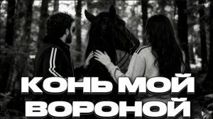 конь мой вороной ковер 2026 год