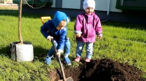 "Давай я буду копать, а ты смотреть!" Как мы посадили именную яблоньку и что с ней стало