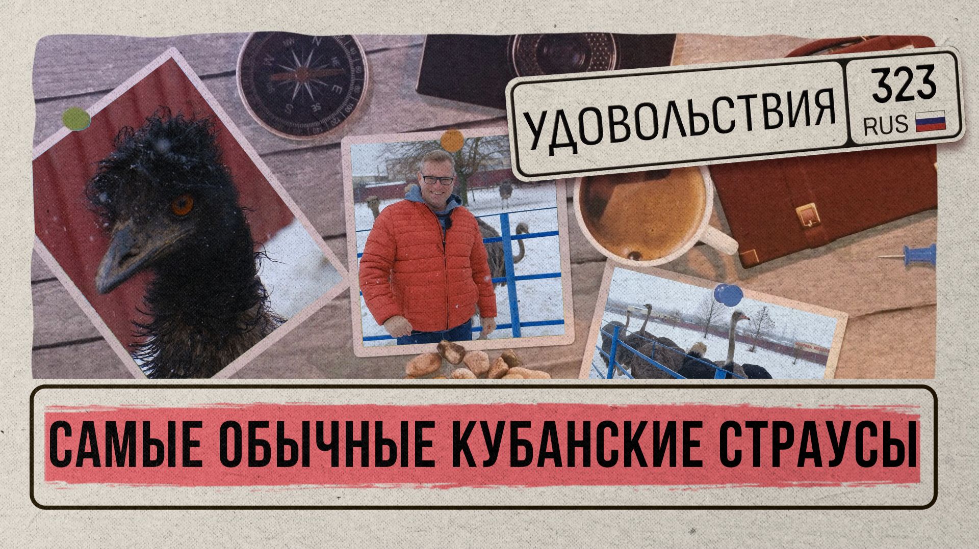 «СЕЛЬСКИЕ ИСТОРИИ» — Страусы