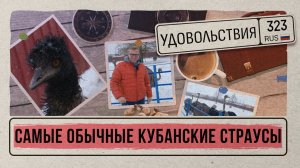 «СЕЛЬСКИЕ ИСТОРИИ» - Страусы