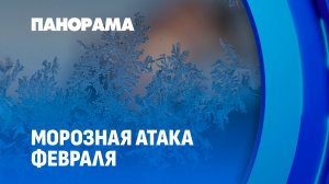 Рекордно холодная ночь: как белорусы переживают февральские морозы? Панорама