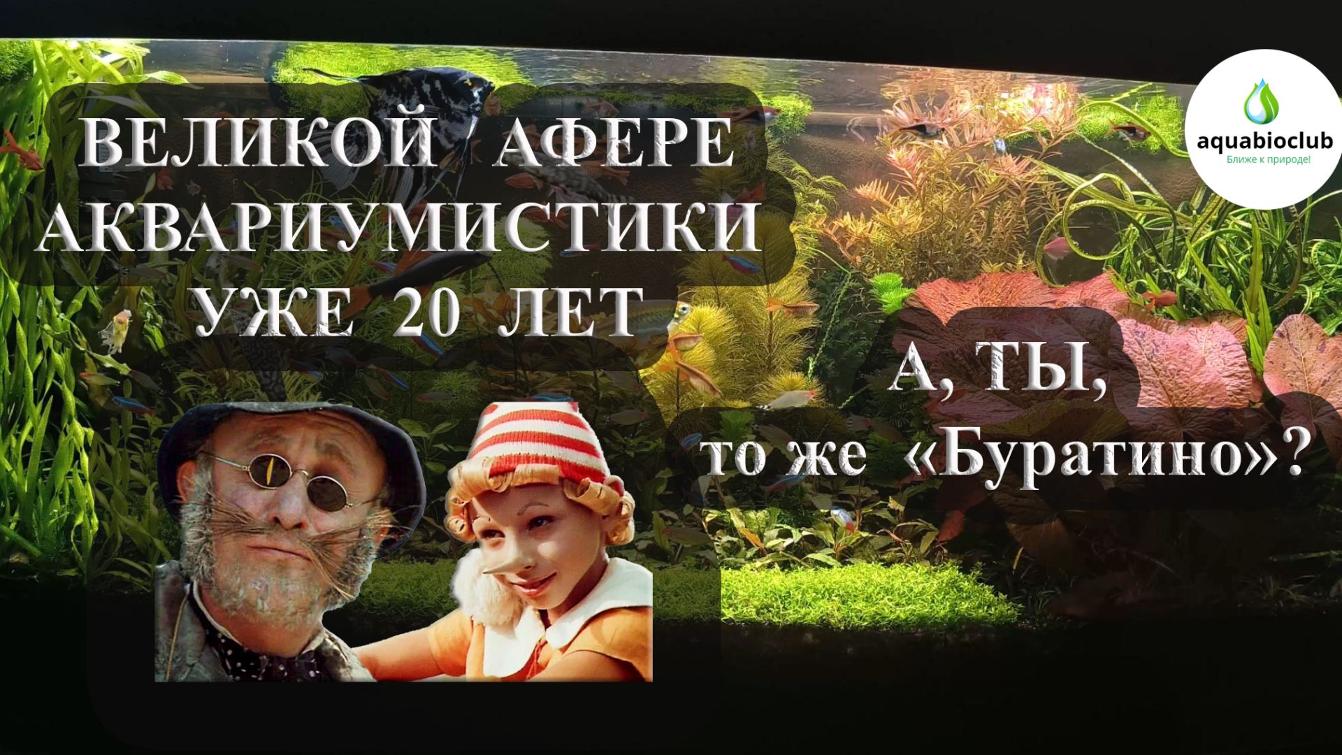 Величайшая афера с жидким СО2 - глутаровым альдегидом ("Сайдексом"). смотреть онлайн