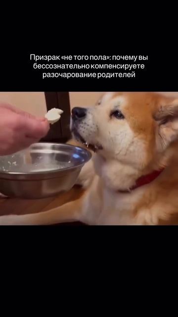 Почему вы не соответствуете ожиданиям родителей и как это исправить ✨🤔