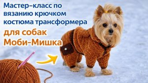 Моби-Мишка 🐻 Мастер-класс по вязанию одежды для питомцев крючком