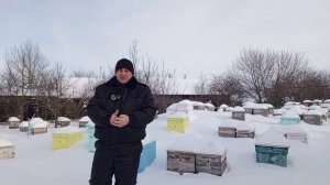 2 февраля,зимуем